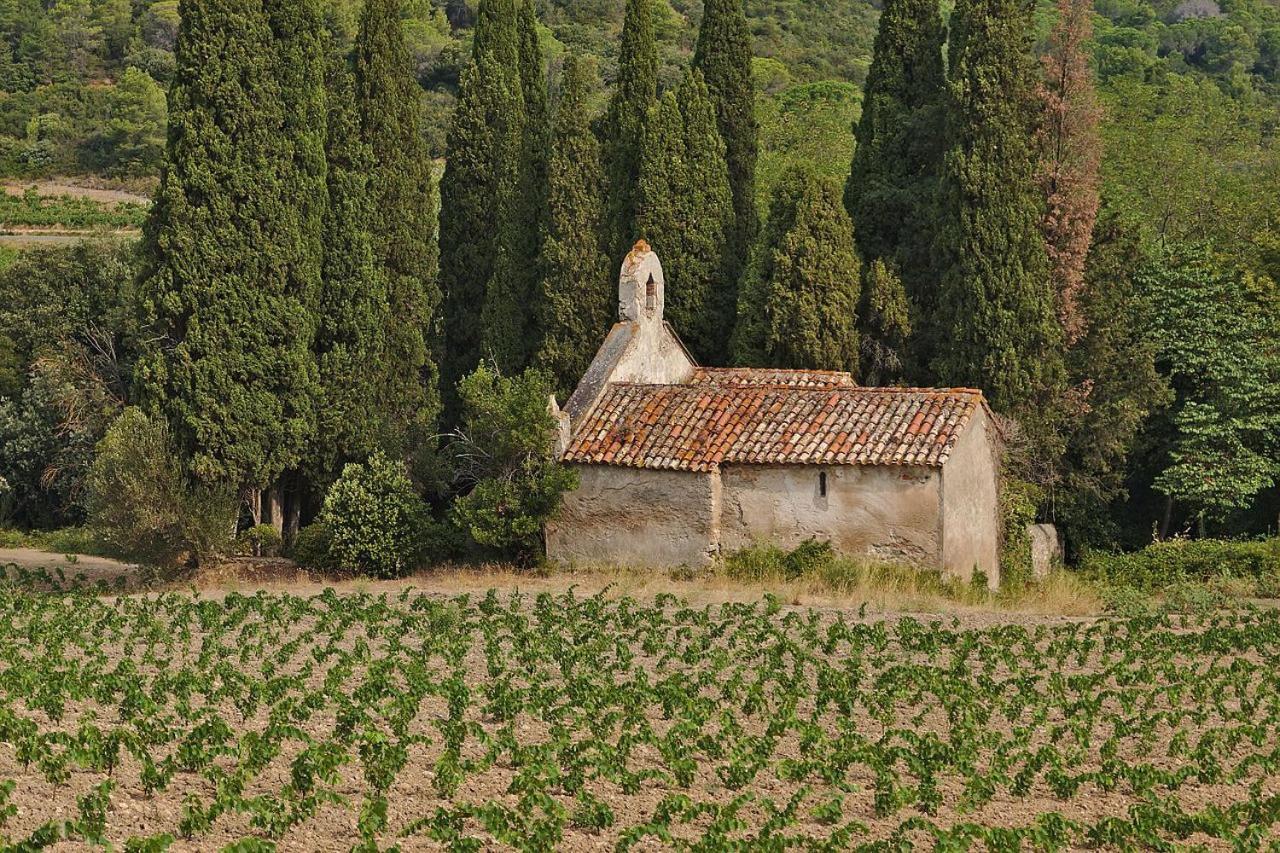 Appartements Cocons Dans Les Corbieres Villeseque-des-Corbieres Exteriör bild